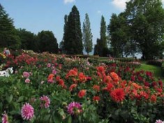 Insel Mainau