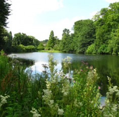 Gartenkunst Yorkshire